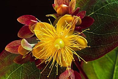 VR新作《灵魂契约》正式公布 2024年上半年发售